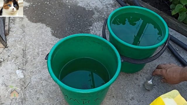 Вторая подкормка моркови в июле в открытом грунте смотреть онлайн