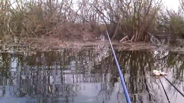 Лодочка 1 (Сулежский борок 13.05.2015г.) смотреть онлайн