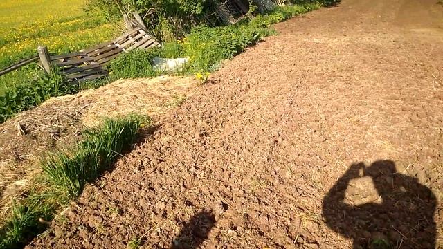 Небольшой участок под картофель, в этом году нас заждался! 3.06.2022г. Тяжёлые условия, но... :) смотреть онлайн