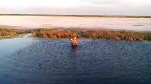 Озеро Эльтон. Волгоградская область. Поездка на автомобилях