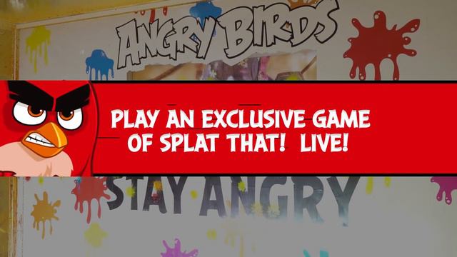 DSS Angry Birds Splat That! смотреть онлайн