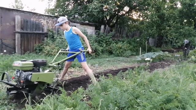 Культивация мотоблоком Don Fild 900-3 смотреть онлайн