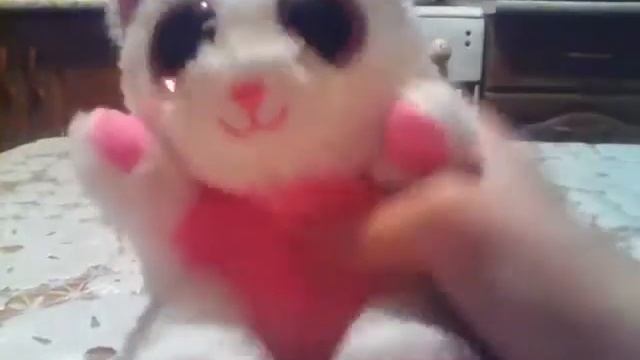 Подарили няшного котёнка на день рождения 29 января смотреть онлайн