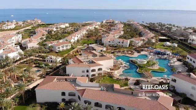 Reef Oasis Blue Bay Resort & Spa, Шарм Эль Шейх,Египет смотреть онлайн