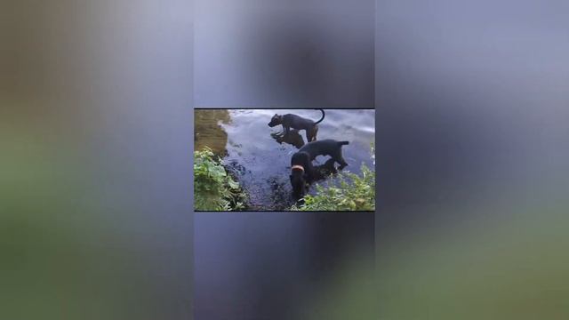 Ну вот такие новости 😞 смотреть онлайн