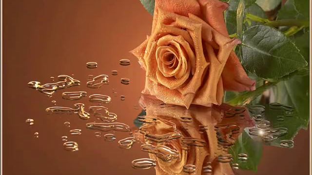 К.М.Вебер - Приглашение к танцу смотреть онлайн