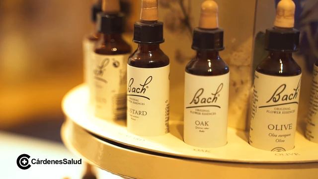 ¿Qué son y para qué sirven las Flores de Bach? смотреть онлайн