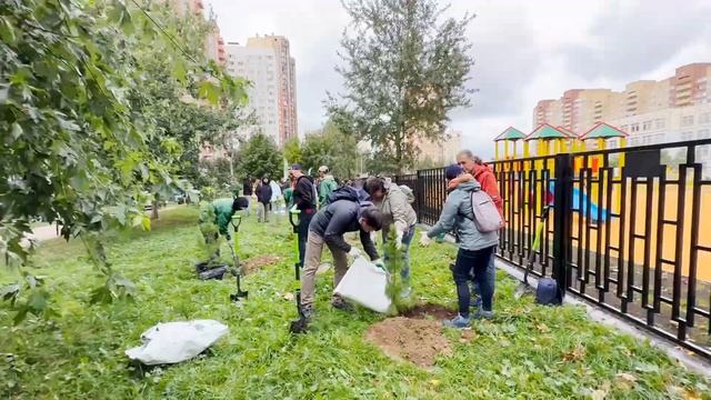 В Долгопрудном посадили кедровую аллею смотреть онлайн