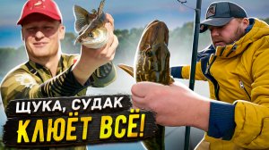 КАК ДОСТАТЬ ЭТУ ЩУКУ?