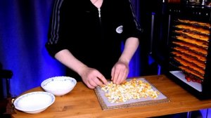 Тыквенные Чипсы в дегидраторе RAWMID Modern RMD 10, Вкусные и полезные чипсы в домашних условиях