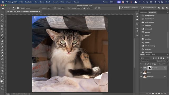 Marrakesch Straßenkatzen - Impressionen & Bildbearbeitung смотреть онлайн