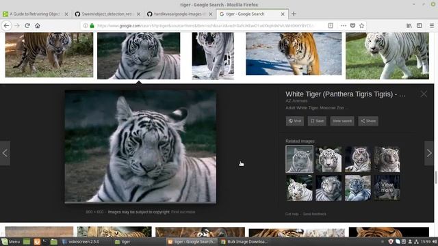 tensorflow custom object detection in 60 minutes part-1 смотреть онлайн