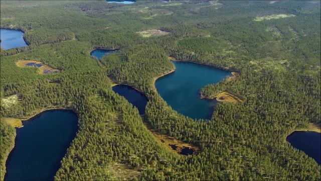 Берегите лес. смотреть онлайн