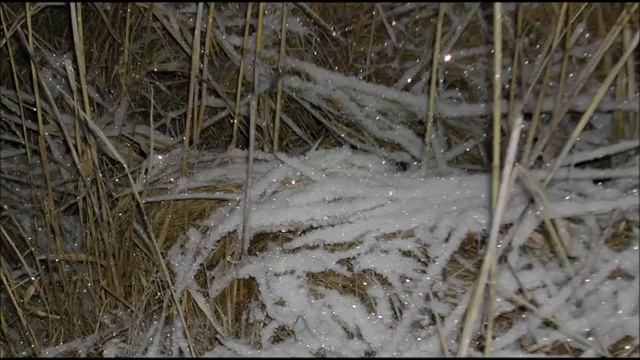 Иеромонах Роман. «Всезнайства ослепляющие блики!..» смотреть онлайн