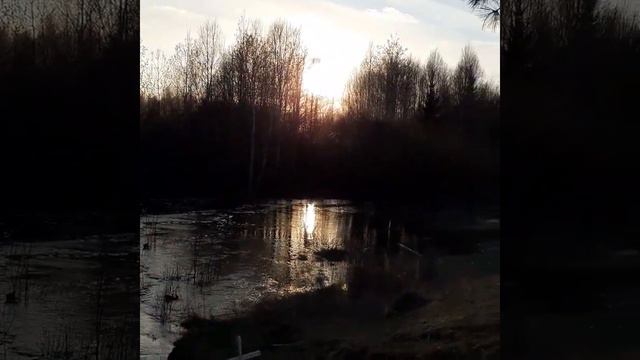 речушка вода прибывает смотреть онлайн