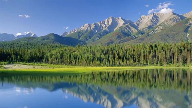 СНОВА НА ТЕ ЖЕ