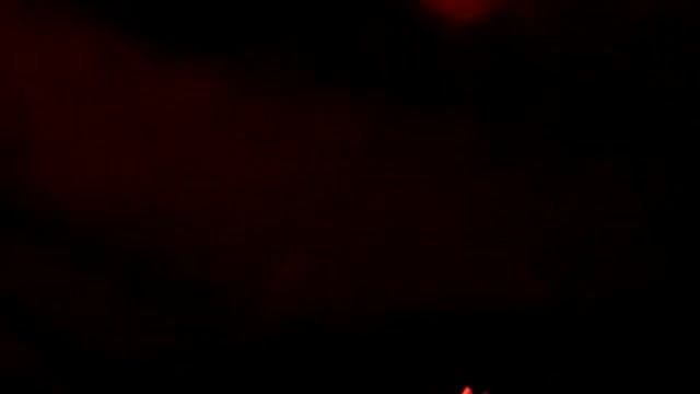 Летучая мышь ест фрукт смотреть онлайн