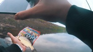 Как ловить карася на спиннинг? Снасти, приманки и проводки