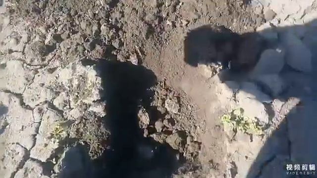 ОН-ЛАЙН КОП ЦАРСКИХ МОНЕТ смотреть онлайн