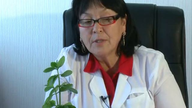 Фильм "Алкоголизм жизнь - без будущего" каз смотреть онлайн