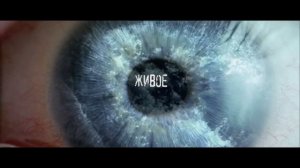 Анализ и обзор фильма "Донни Дарко"