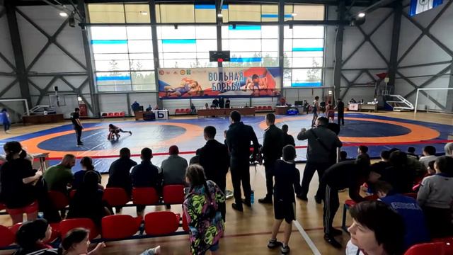 24 Межрегиональный турнир по вольной борьбе среди юношей и девушек смотреть онлайн