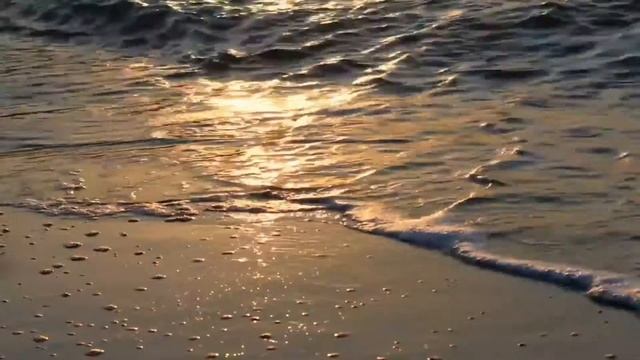 Сильный стих о людях Евгений Евтушенко "Людей не интересных в мире нет" смотреть онлайн