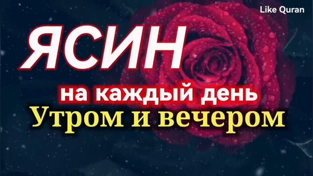 Сура Ясин утром и вечером слушайте один раз, очень красивое чтение Корана #quran #коран #yasin #яси смотреть онлайн