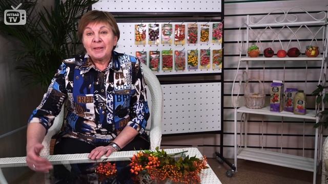 ЯГОДЫ РЯБИНЫ ?  Рябина обыкновенная свойства ХиТСАД РУ