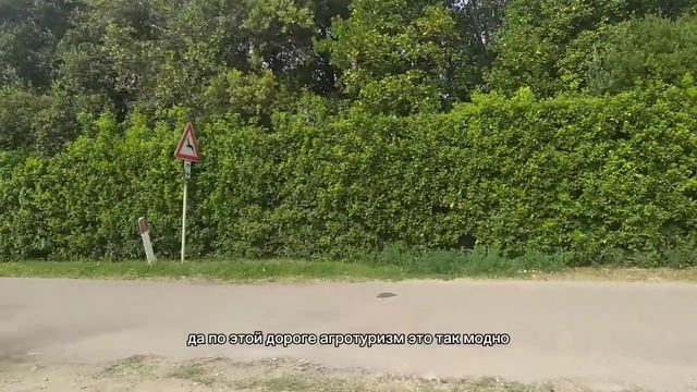 Сам себе режиссер! Италия смотреть онлайн