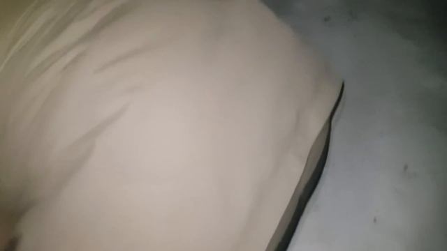 ЗИМНЯЯ РЫБАЛКА НА ПАУК Подъемник. Корюшка, хамса. -35 смотреть онлайн