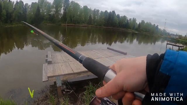 "Карпов Пруд" Рыбалка 23.05.2020. Часть 1. Бешенный Карт смотреть онлайн