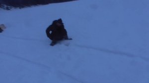 Зимняя рыбалка на хариуса и Ленка в верховья Уды.