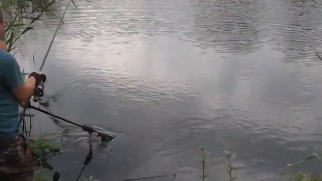 На амура... смотреть онлайн