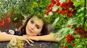 Горит калины цвет