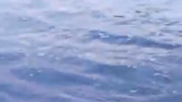 Рыбалка на реке Алатырь. смотреть онлайн