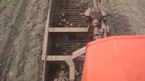 т16 и однорядная самодельная картофелекопалка.