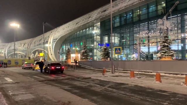 Прогулка возле Аэропорта Домодедово, г. Москва, 02.12.2023 смотреть онлайн