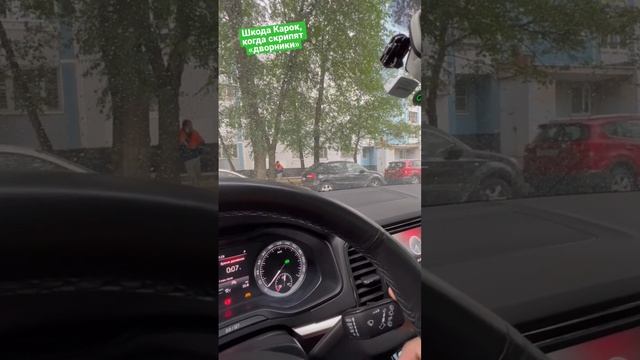 Шкода Карок, скрипят дворники, что делать? смотреть онлайн