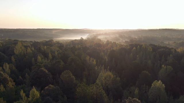 Schiller - I´ve Seen It All (NG Remix 2022) | [Video] смотреть онлайн