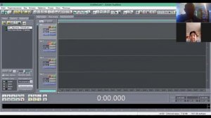 работа со звуком в программе adobe audition 1 5