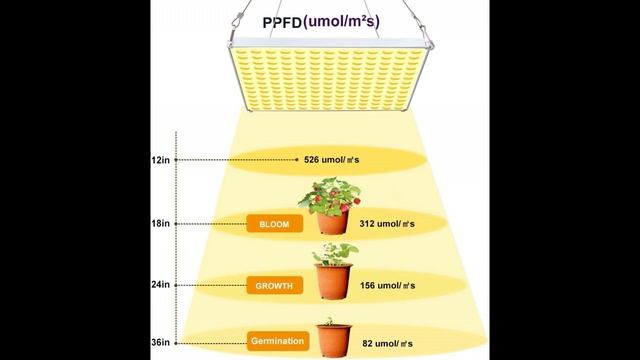 CXhome 75W Full Spectrum Plant Grow Light Review смотреть онлайн