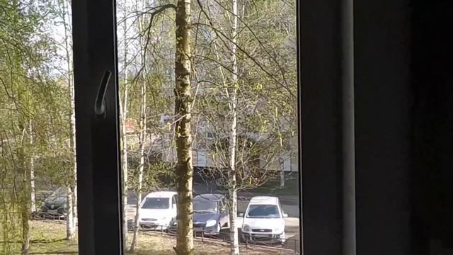 Птица бьётся в окно , уже 3 часа. ? смотреть онлайн