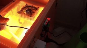 Самодельный инкубатор из пеноплекса в работе