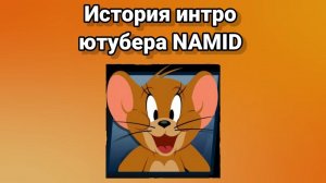 История интро ютубера NAMID