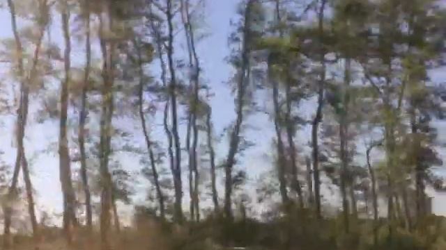 ветер поломал деревья пополам смотреть онлайн