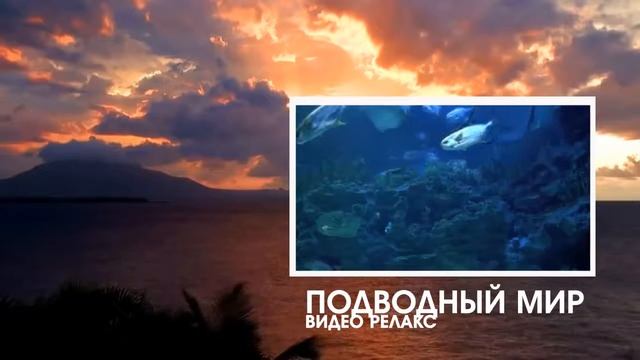 Релакс видео Шум морской волны The sound of waves смотреть онлайн