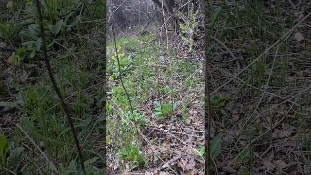 Какие бывают Ведьмы? смотреть онлайн
