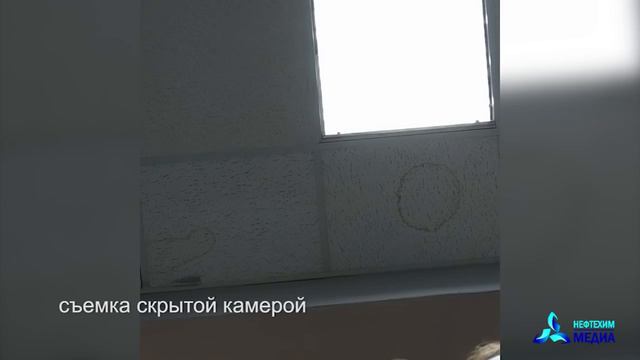 Нижнекамец попытался устроиться на работу и чуть не остался без денег смотреть онлайн