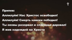 Нас разделяла с Тобою пропасть (Я жив надеждой) || Living Hope || BV Music